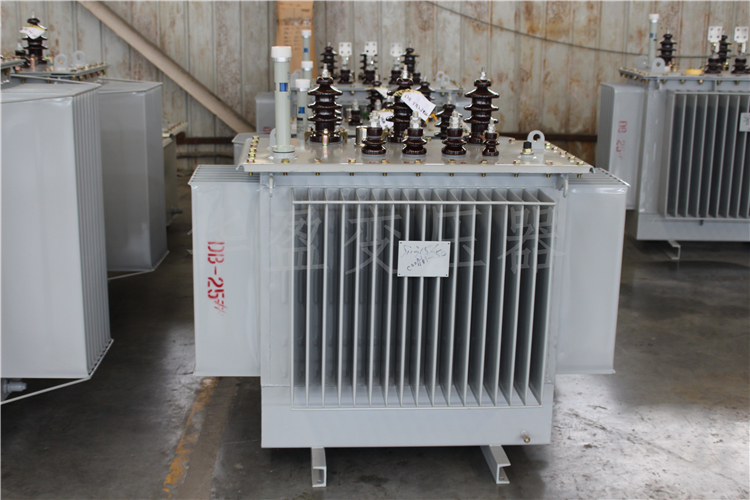 郑州S20-800kVA/10kV/0.4kV变压器